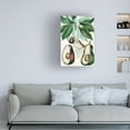 thumbnail image 3 of Turpin 'Turpin Tropical Fruit V' Canvas Art, 3 of 3