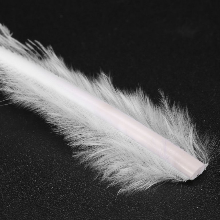 White Peacock Feathers Background 