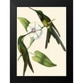 thumbnail image 2 of Vision Studio 14x18 Black Modern Framed Museum Art Print Titled - Delicate Hummingbird III, 2 of 5