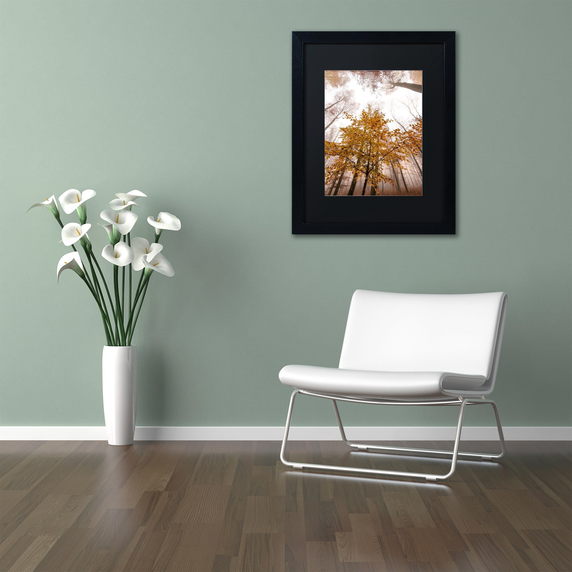 Trademark Fine Art "Foggy Days" Canvas Art by Philippe Sainte-Laudy Black Matte, Black Frame