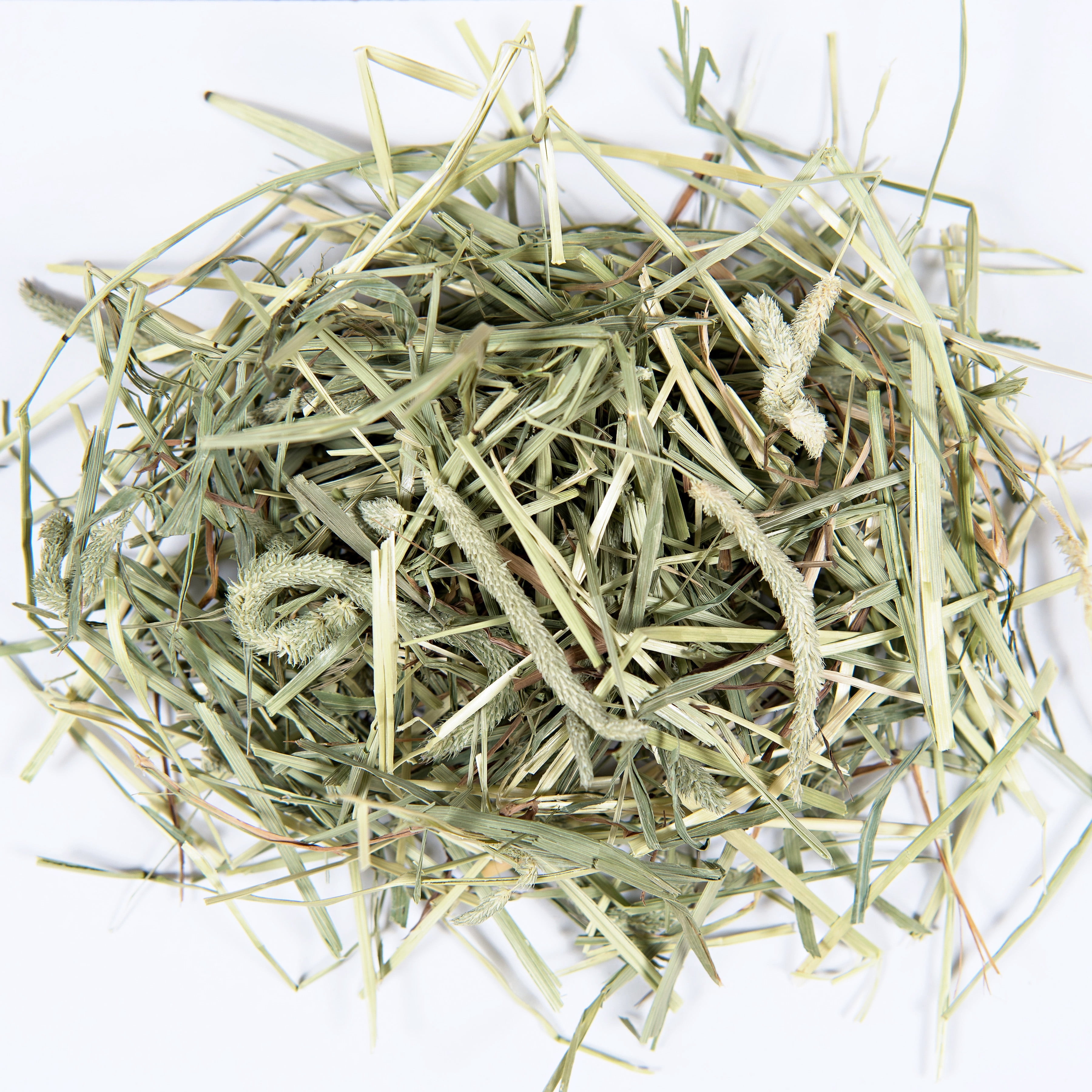 Small Pet Select 2nd Cutting Perfect Blend Timothy Hay Pet Food for Rabbits, Guinea Pigs, Chinchillas and Other Small Animals, Premium Natural Hay Grown in The US, 2 LB