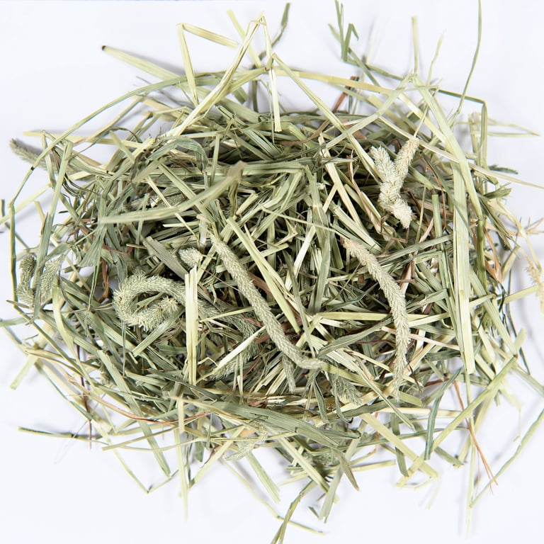Small Pet Select 2nd Cutting Perfect Blend Timothy Hay, 2lbs photo 4