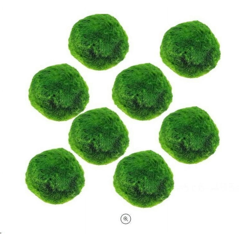 Fymall Aquarium Transparent Landscaping Floating Plants Moss Ball Holder, Size: Diameter:5 cm/1.96 Height:3.6 cm/1.42', White