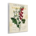 thumbnail image 3 of Stupell Industries Flower over Aged French Page Floral Painting Unframed Art Print Wall Art, 11 x 14, 3 of 7