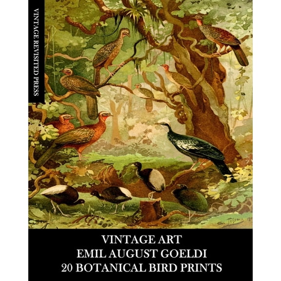 Vintage Art: Emil August Goeldi: 20 Botanical Bird Prints: Ephemera for Framing, Home Decor, Collage and Decoupage, (Paperback)