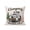 Mocha Brown, variant on 1 Pack Outdoor Throw Pillow, Camper Van Waterproof Pillow with Insert Included, Modern Vintage Camping Beige Wooden Decorative Accent Cushion Sofa Pillows for Patio Porch, 16 x 16 In