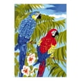 thumbnail image 2 of Royal & Langnickel(R) Small Paint By Number Kit 8.75"X11.75"-Parrots, 2 of 2