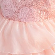 Kids Pink Dress for Girls Ruffle Sleeveless Tulle Flower Girl Dress Rainbow Tutu Princess Skirt Princess Dress Up for Girls 3-4 Years
