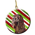 thumbnail image 1 of Boykin Spaniel Candy Cane Christmas Ceramic Ornament, 2.81 Dia, 1 of 1
