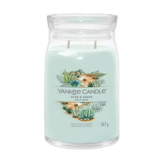 Yankee Candle Small Tumbler Scented Single Wick Jar Candle, Balsam