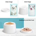 thumbnail image 4 of Cuenco de comida para gatos iPettie de plástico de melamina A5, 4 of 7