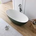 thumbnail image 5 of MEDUNJESS 65" Freestanding Bathtub, Modern Solid Surface Stone Resin Soaking Bathtub Alone Tubs with Pop-up Drain and Overflow, Green and White, 5 of 12