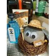 Christmas Gift Pebble Pet Rock Nest with Decorative Grass, Novelty Gift for Yourself, Kids, Friends and Family