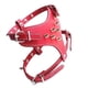 thumbnail image 1 of Spiked Studded Leather Puppy Dog Harness Vest for Small Breeds Red, 1 of 5