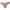 Pink, variant on BLVB Seamless Underwear for Women Cotton Thongs Panties Breathable Stretch Ladies Briefs Underwear