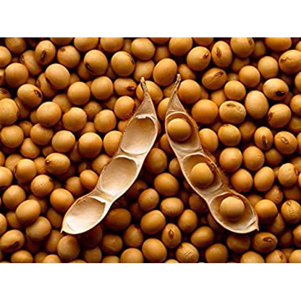 Soybeans 5 Pounds Grown in Iowa