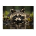 thumbnail image 3 of Designart "Inquisitive Raccoon I" Animals Print on Natural Pine Wood, 3 of 5