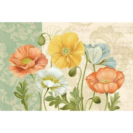 Pamela Gladding Pandoras Bouquet - Pastel Poppies Multi Landscape Canvas Art - Pamela Gladding (24 x 36)