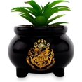 thumbnail image 1 of Harry Potter Hogwarts Cauldron 3-Inch Ceramic Mini Planter with Artificial Succulent | Small Flower Pot, Faux Indoor Plants, 1 of 7