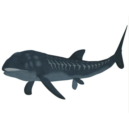 Leedsichthys is an extinct bony fish from the Mesozoic Era Canvas Art - Corey FordStocktrek Images (17 x 13)