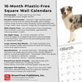 thumbnail image 6 of Australian Shepherds 2025 12 X 24 Inch Monthly Square Wall Calendar Plastic-Free (Wall), 6 of 9