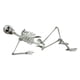 thumbnail image 1 of Esqueleto de Halloween Prop Humano Tamaño completo Cráneo Mano Vida Cuerpo Anatomía Modelo Decoración Meser  JFHKJSHJK1446, 1 of 9