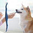 thumbnail image 5 of 3pcs / set Dual-Sided Toothbrush Set Teeth Cleaner for Pet Dogs Cats, 5 of 5