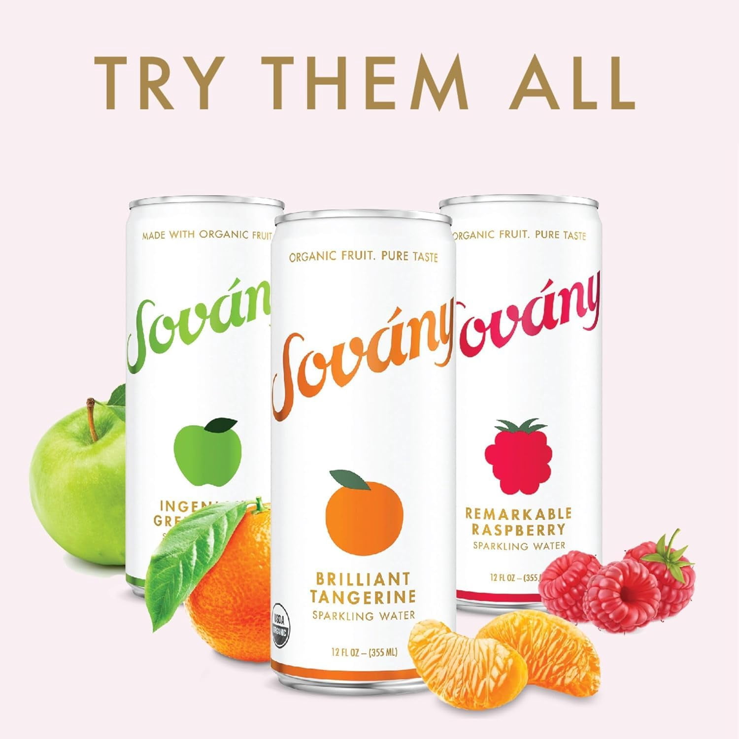 (Pack Of 6) Sovany Water Sparkling Ingenious Apple 4 Pack 48 Fo