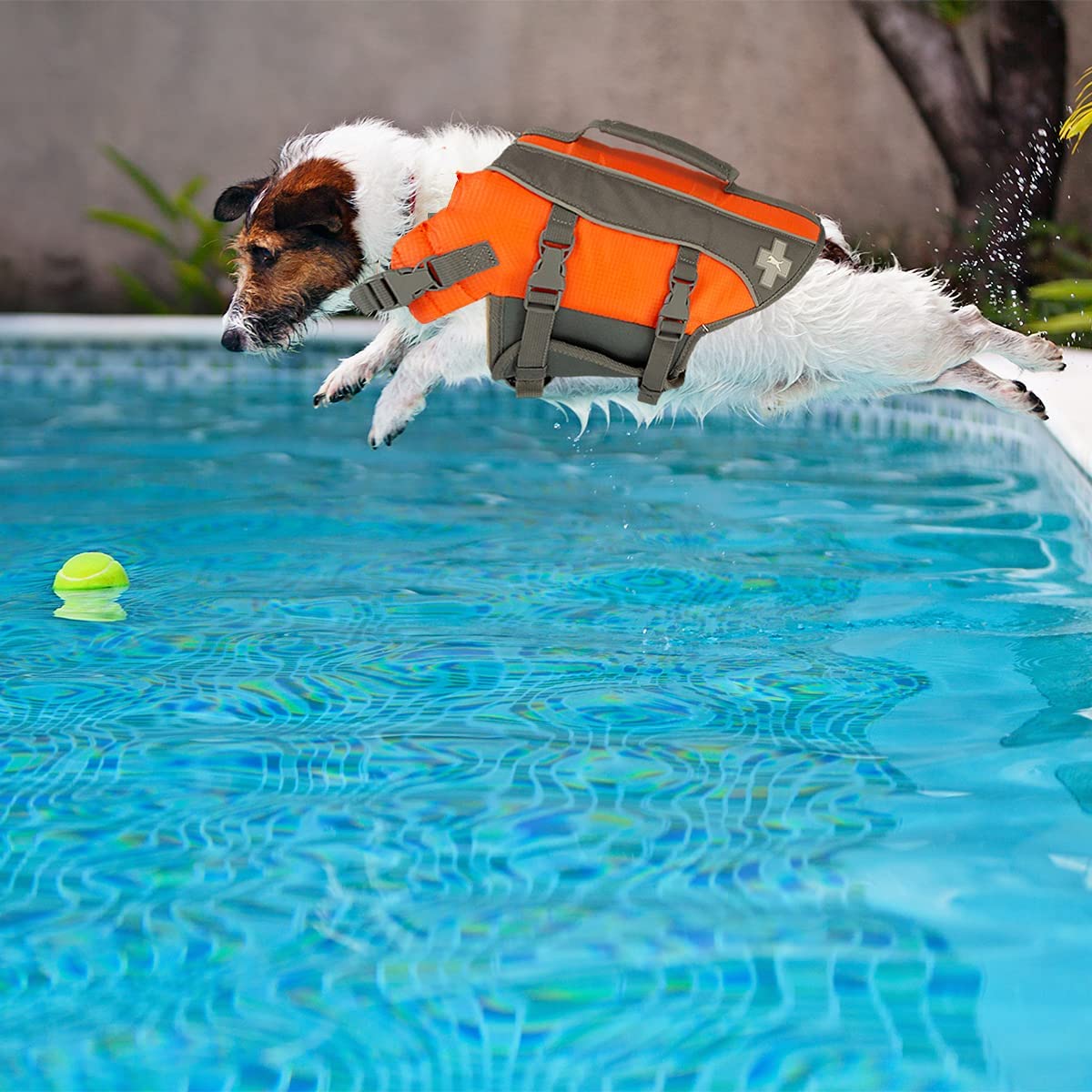 top paw dog life jacket