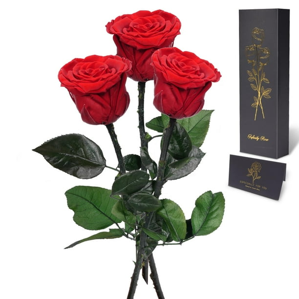 Flores preservadas, rosa de regalo, Yamonic, 3 tallos, 31 cm