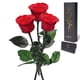 thumbnail image 1 of Flores preservadas, rosa de regalo, Yamonic, 3 tallos, 31 cm, 1 of 8