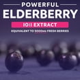 thumbnail image 3 of Pure Co 5,000mg Organic Elderberry Capsules for Immune Support, 10:1 Elderberry Extract, 30 Capsules, 3 of 10