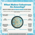 thumbnail image 5 of Saba Colostrum Powder for Gut Health, Hair Growth, Immune Support, 10 Ounce, 5 of 9