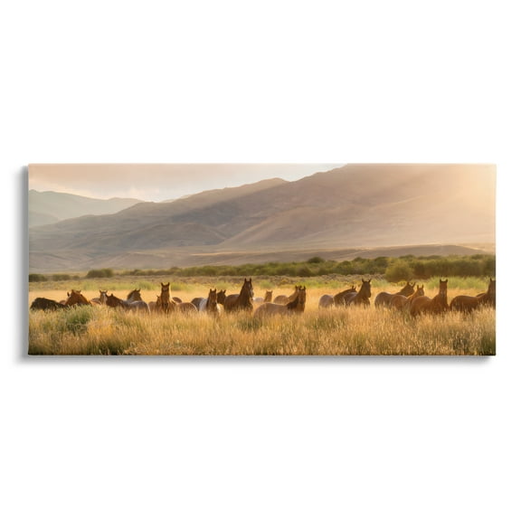 Stupell Industries Horse Herd in Mountains Landscape Photography Gallery Wrapped Canvas Art Print Wall Art, 48 x 20