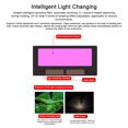 thumbnail image 4 of Tignapoo Auto-Dimming Welding Helmet with True Color Lens, Wide View, Adjustable Shade Levels, and Detachable Headlamp for Arc and Argon Welding Protection, 4 of 6