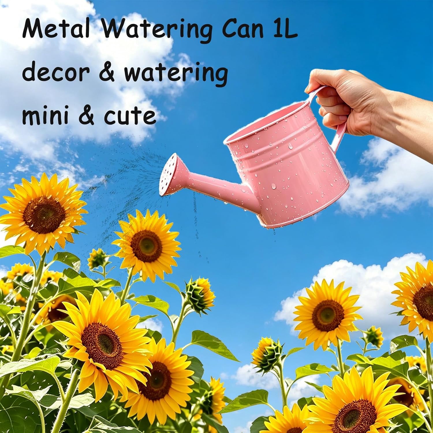 Small Watering Can,Galvanized Water Can for Plants,Vintage Spray Watering Cans with Spout,for Indoor Outdoor Flowers Home Garden House Decorative & Gardening,Retro Metal Painted 1L(Orange)