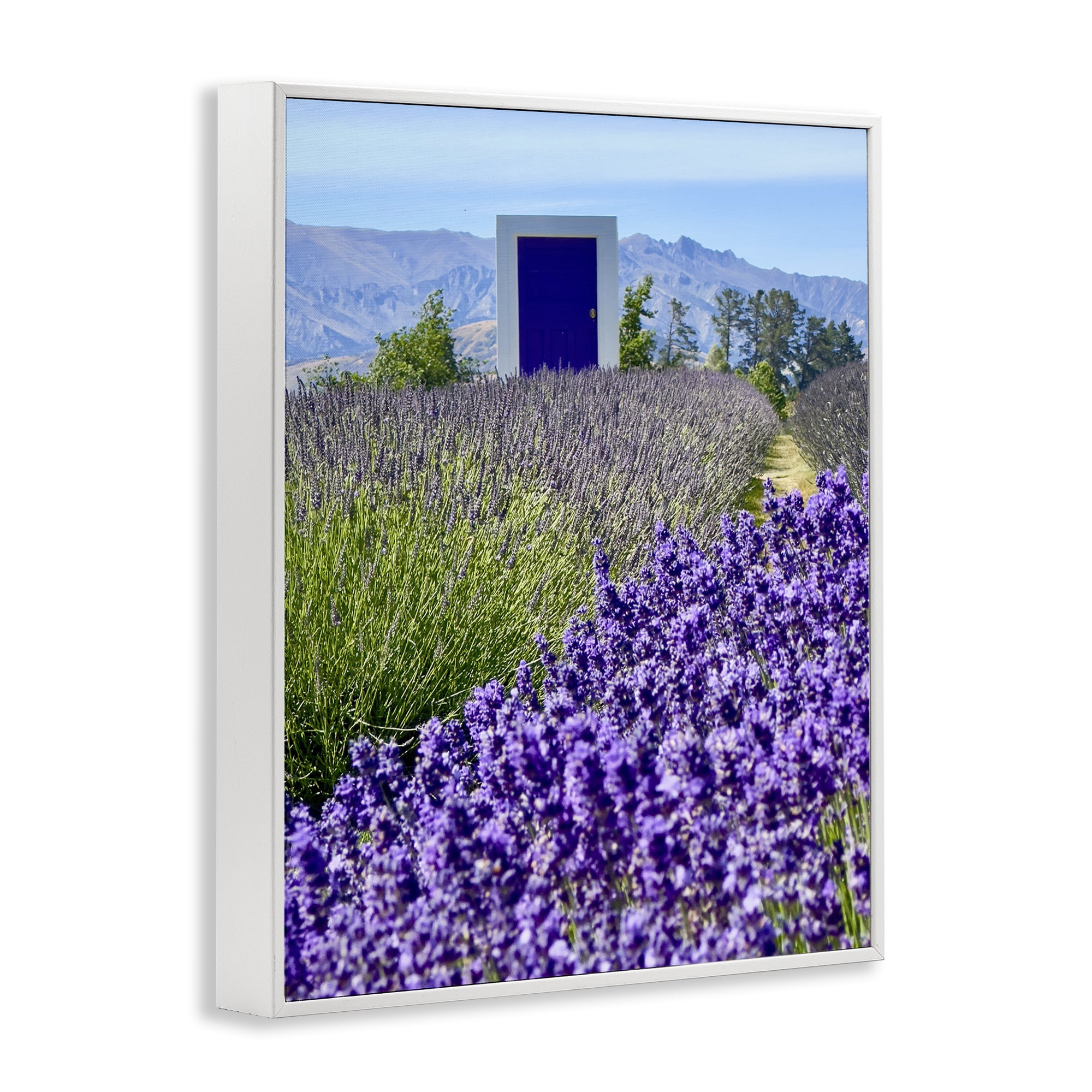 Stupell Industries Surreal Doorway Landscape Landscape Photography White Framed Art Print Wall Art, 11 x 14