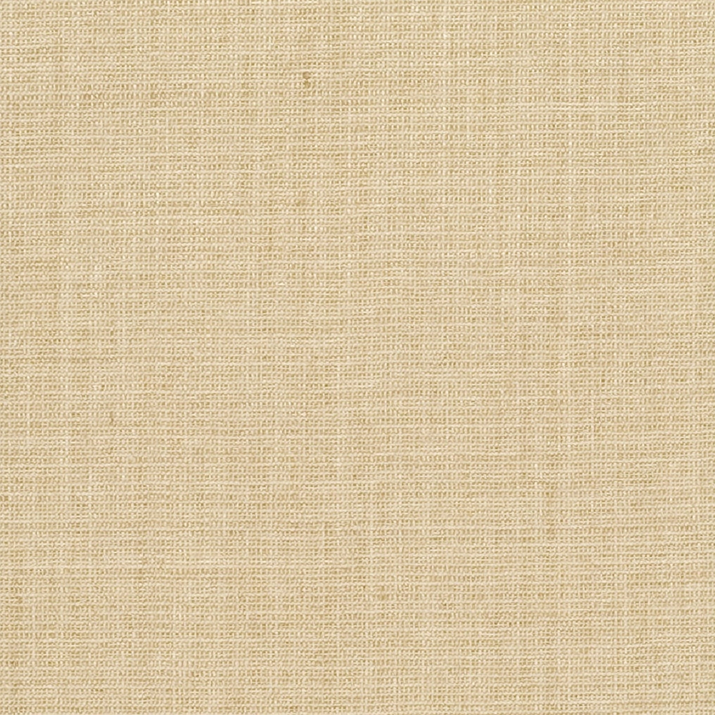 SAFAVIEH Natural Fiber Forrester Border Sisal Runner Rug, Maize/Black, 2'6" x 8'