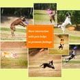 thumbnail image 3 of ZECATL Frisbee for Dogs 2 Pcs Dog Frisbee Soft Natural Rubber Disc for Safety Dog Flying Disc Toy for Outdoor Flight, Training, Floating Water Dog Toy, 3 of 5