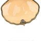 thumbnail image 1 of Seashell Jewelry Box Exquisite Gilded Enamel Painted Ornaments Home Decoration Crafts, 1 of 3