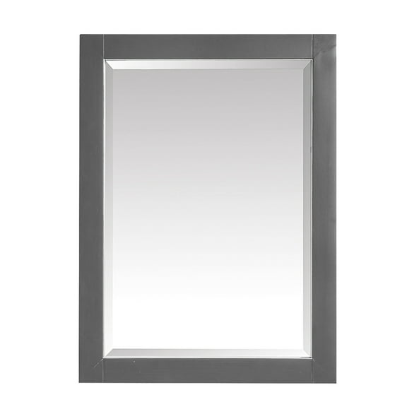 Avanity 170512-M24-TGS Allie / Austen 24" W X 32" H Contemporary Rectangular Framed