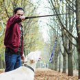 thumbnail image 3 of Retractable Dog Interactive Stick Toys Extendable Flirt Pole Funny Chasing Tail Teaser And Exerciser For Pets Dogs Toy Pet Toy, 3 of 5
