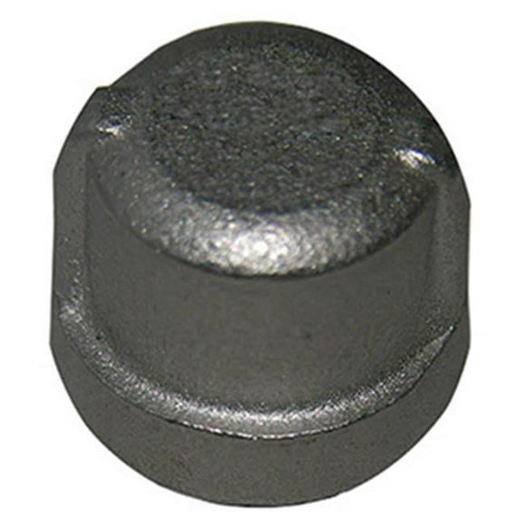Warren Distribution 209850 0.25 in. Stainless Steel Pipe Cap