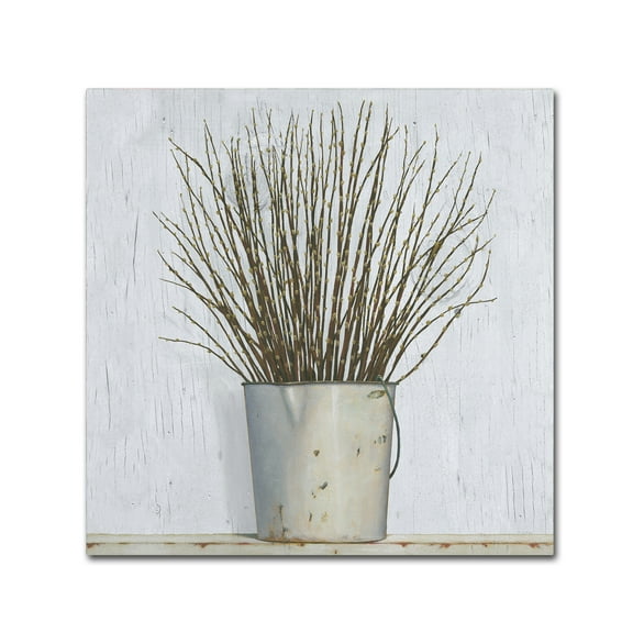 Trademark Fine Art 'Early Spring' Canvas Art by James Wiens