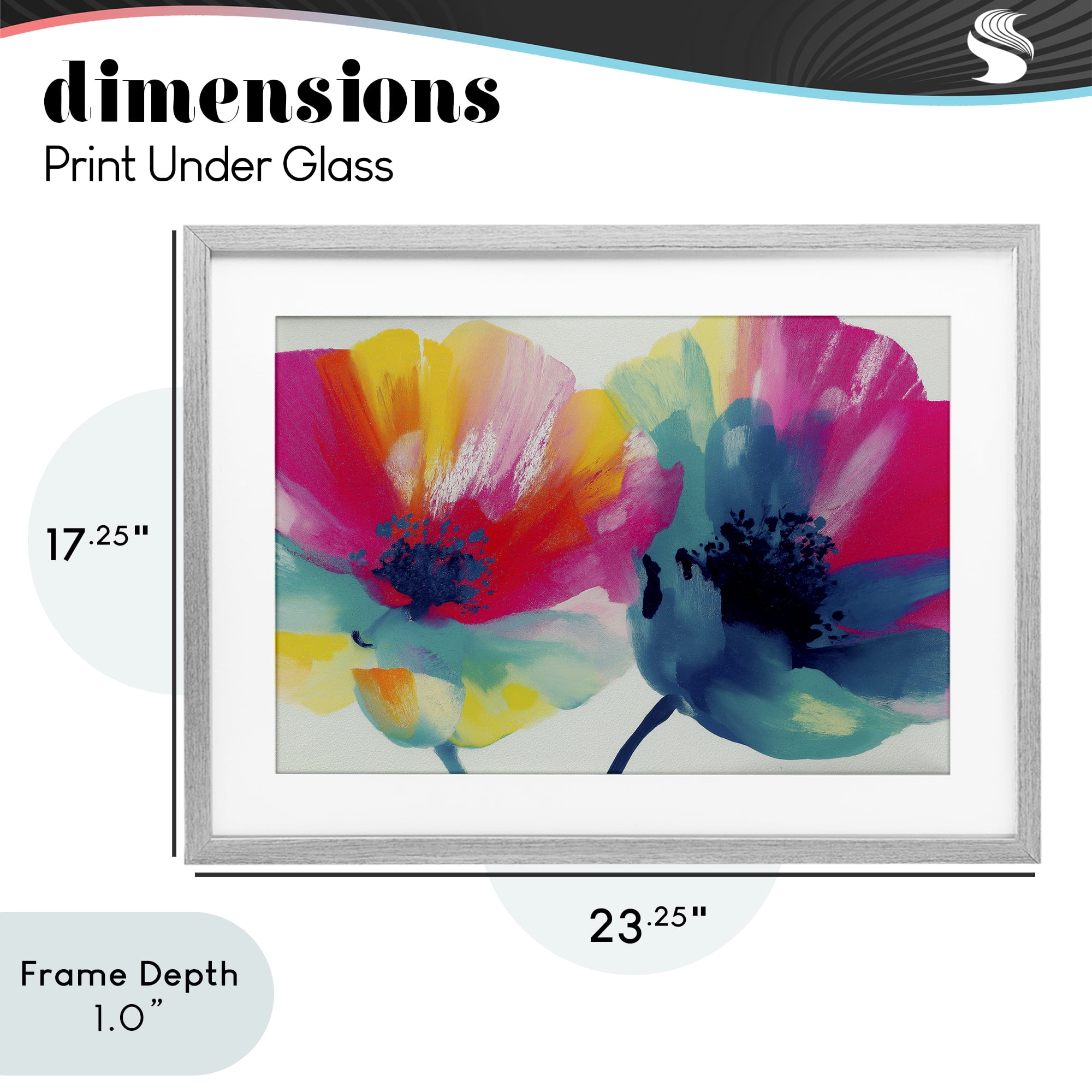 Stupell Industries Two Colorful Poppies Gray Framed Print Under Glass, design by Chromatic Storm Studio