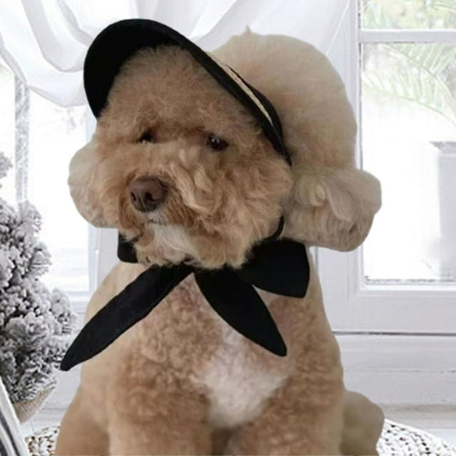 Gorra con visera para mascotas, gorra de ala ancha, con cordón ajustable, gorra de béisbol para perros, sombrero para correr al aire libre, viajes de negro Yinane Gorra de béisbol de perros