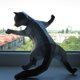 thumbnail image 2 of 1 Uds. Kit de construcción de animales de papel 3D, modelo de papel de origami de gato, adorno, juguete DIY para adultos, niños, adolescentes, matar el tiempo (negro) ER, 2 of 4