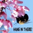 thumbnail image 2 of CafePress - Hang In There! Tote Bag - Unisex Canvas Tote Bag, Beige, 1-Piece, 2 of 6