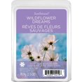 thumbnail image 1 of ScentSationals, Cubes de cire parfumés, Rêves de fleurs sauvages, 1 of 4