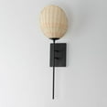 thumbnail image 5 of 12601NABK Maxim Lighting Maldives - 1 Light Wall Sconce-25.75 Inches Tall and 8 Inches Wide, 5 of 5